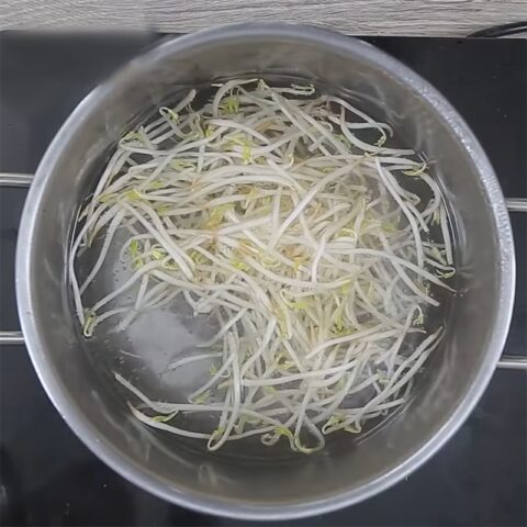 Sơ chế rong biển khô ngâm nước
