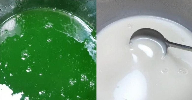 Nấu sôi hỗn hợp thạch rau câu dẻo với nước cốt dừa và nước cốt lá dứa, đảm bảo hòa quyện hương vị.