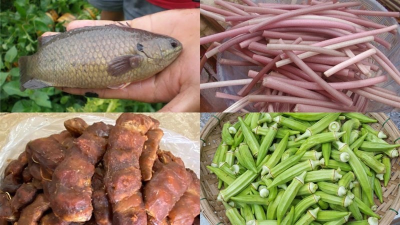 Nguyên liệu món ăn canh chua cá rô đồng và cá rô phi