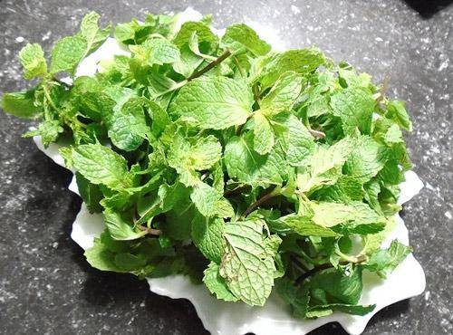 Húng lủi, húng quế là 2 loại rau thơm không thể thiếu để tăng thêm hương vị cho món bún sườn dọc mùng