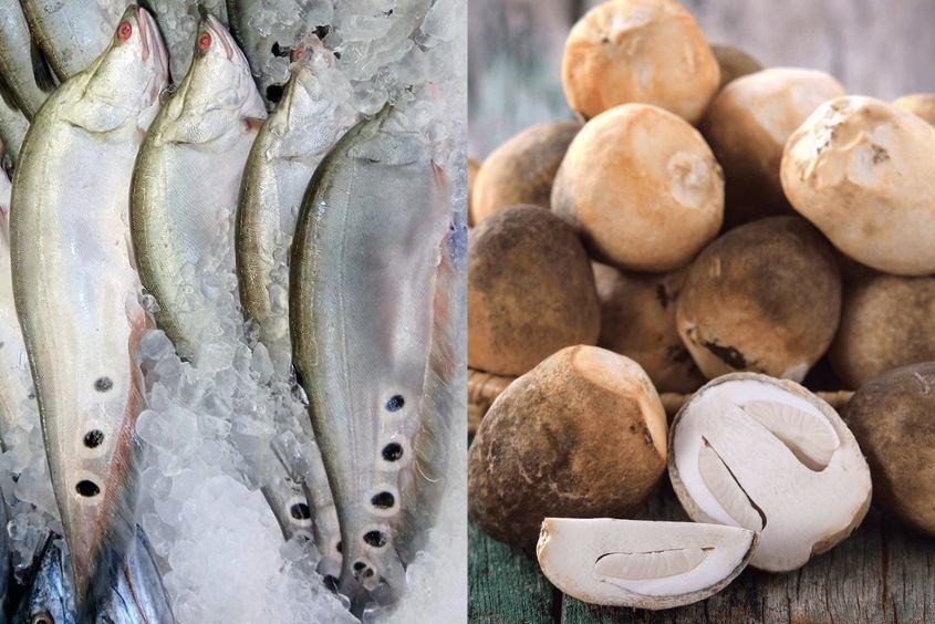 Công thức cháo cá thác lác cho bé kết hợp nấm rơm giàu protein