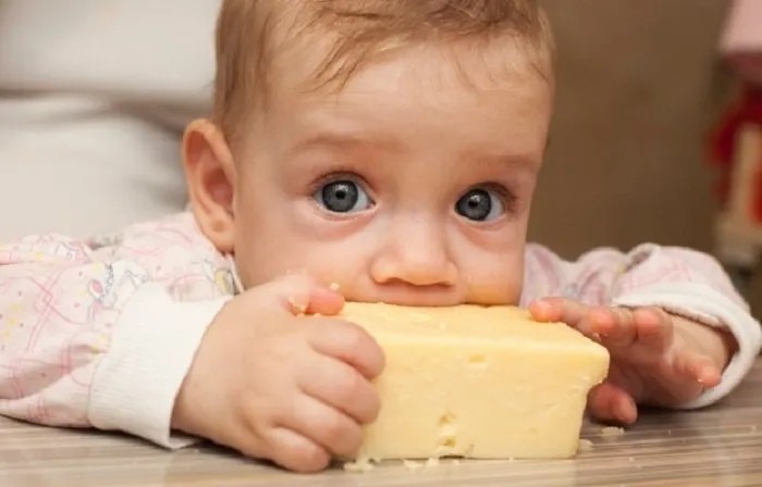 Bé nhỏ ngồi trên ghế ăn, biểu thị độ tuổi phù hợp để bắt đầu ăn dặm và áp dụng cách nấu cháo phô mai con bò cười cho bé.