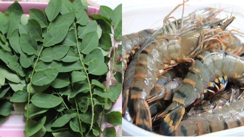 Tổng hợp các nguyên liệu tươi ngon để chuẩn bị cách nấu canh rau ngót với mướp và các loại canh khác