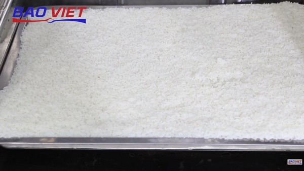Cơm tấm chín đều, tơi xốp trong khay của tủ nấu cơm công nghiệp để bán