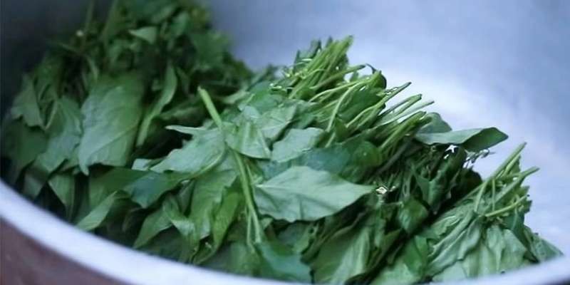 cách chế biến rau tầm bóp nấu canh cua
