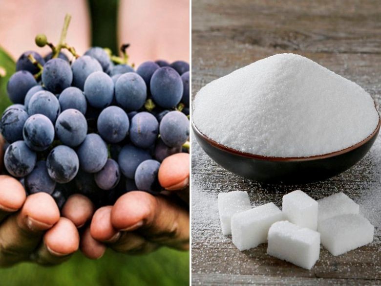 Bình rượu nho đang ủ tại nhà