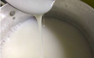 Đổ nước cốt dừa vào nồi bánh canh và đun sôi nhẹ để giữ hương vị