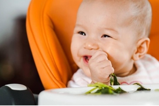 Hướng dẫn cách nấu bột cho bé 8 tháng với cháo thịt heo nấm rơm giúp bé ăn ngon