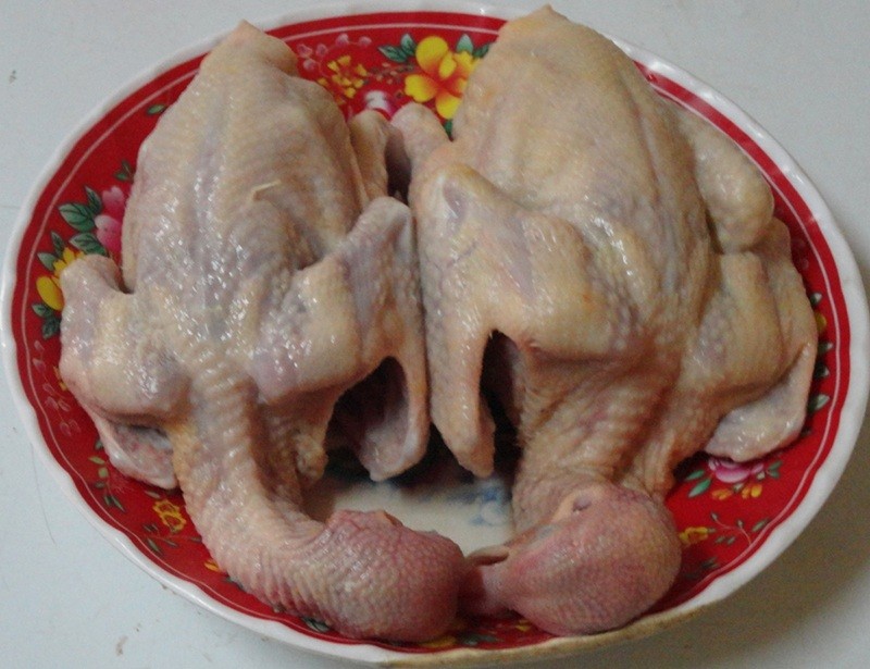 Cách nấu cháo chim bồ câu bổ dưỡng cho người ốm nhanh khỏe