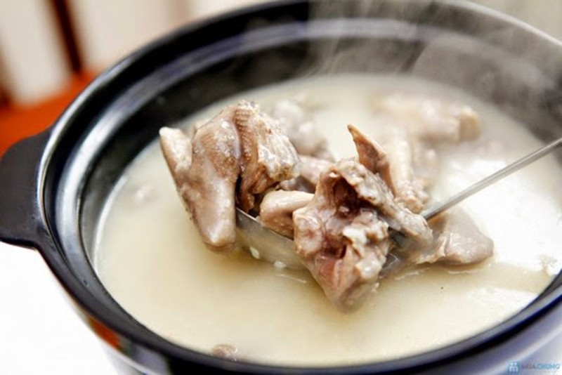 Cách nấu cháo chim bồ câu bổ dưỡng cho người ốm nhanh khỏe