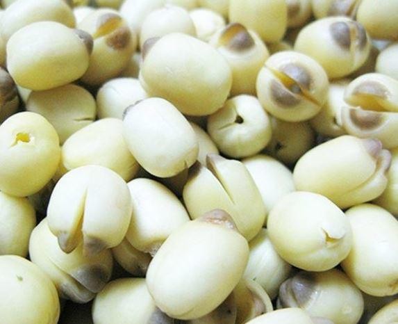 Hình ảnh chi tiết bước sơ chế hạt sen tươi, bóc vỏ và loại bỏ tâm sen để chuẩn bị nấu chè