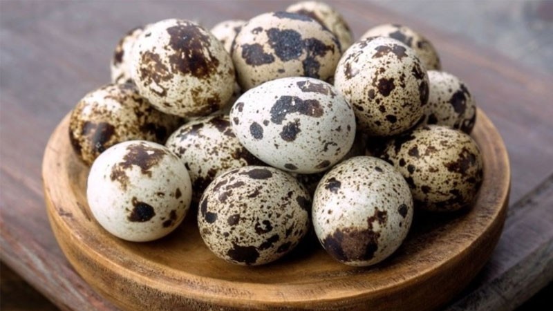 Trứng cút chất lượng làm topping cho nước lèo trong