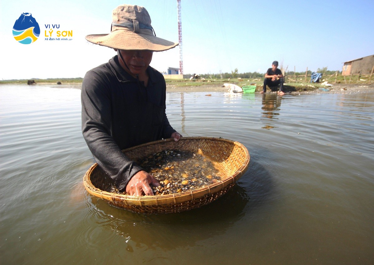 Người dân Quảng Ngãi thu hoạch don bằng dụng cụ nhủi truyền thống trên sông.