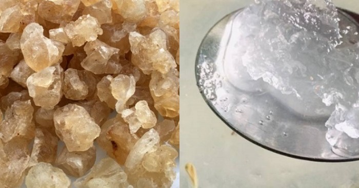 Mủ trôm đã ngâm nở, sẵn sàng cho món giải khát mủ trôm đường phèn.