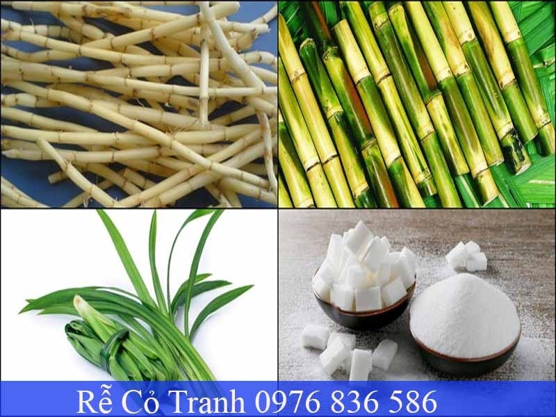 nguyên liệu làm nước rễ cỏ tranh mía lau