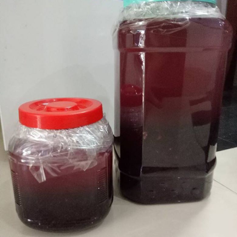 Ủ rượu nho - Cách nấu rượu từ đường