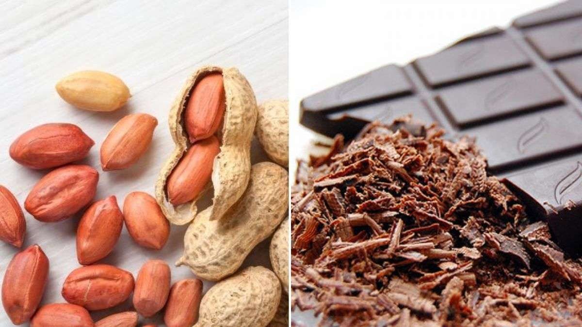 Sữa đậu phộng socola hấp dẫn cho mọi lứa tuổi
