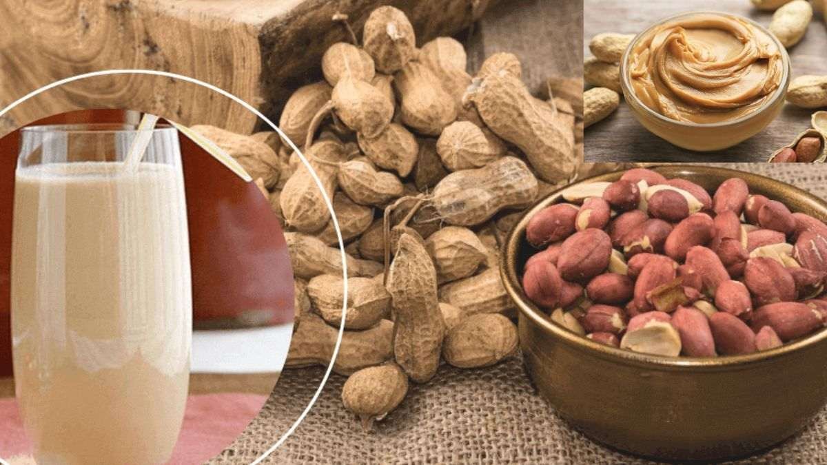 Thành phẩm sữa đậu phộng bơ đậu phộng béo ngậy