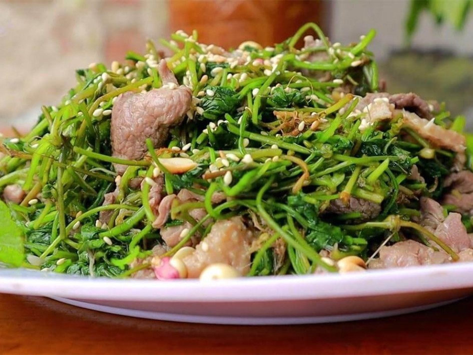 Món thịt mèo xào rau má thơm ngon, gợi ý cho cách nấu thịt mèo ngon