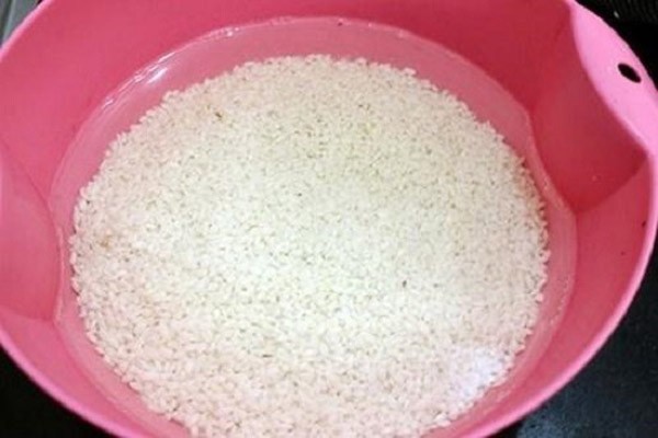 Gạo nếp đã được ngâm nở bung trước khi làm xôi bắp bào