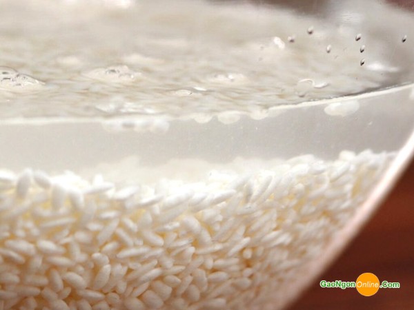 Hạt gạo nếp Lào sau khi ngâm, mềm dẻo và trắng sữa