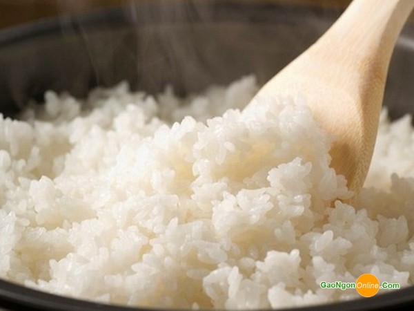 Xôi nếp đã chín, đang được giã/xay nhuyễn để tạo độ dẻo đặc trưng
