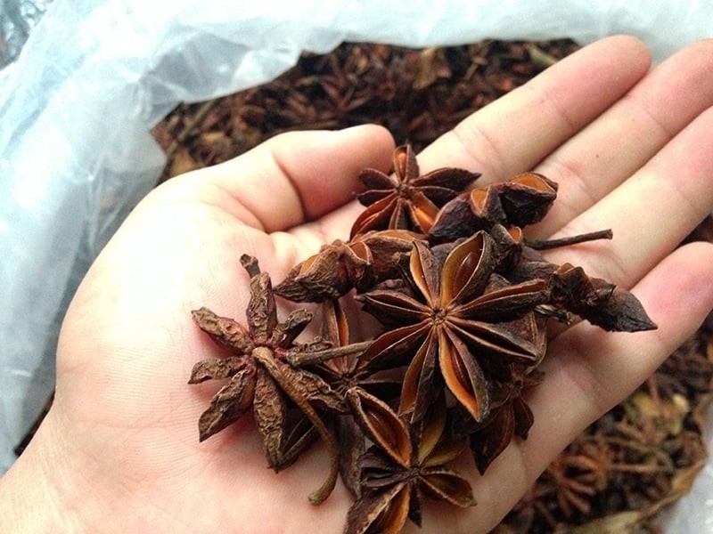 Hoa hồi và các thảo dược tự nhiên hỗ trợ sức khỏe