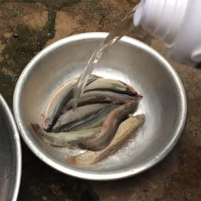Sơ chế và ướp cá chạch cho món cá nấu chuối