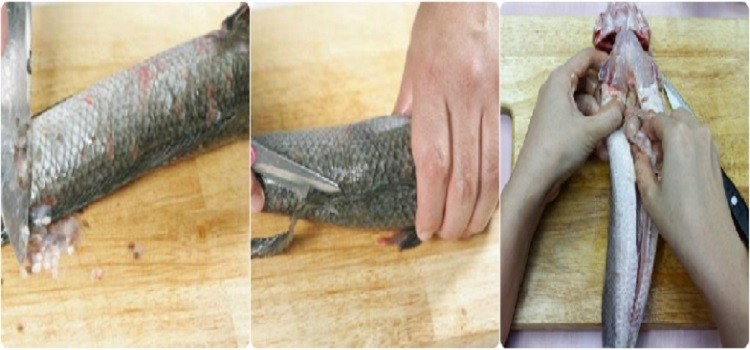 Sơ chế cá lóc cho món bánh canh cá lóc Quảng Trị