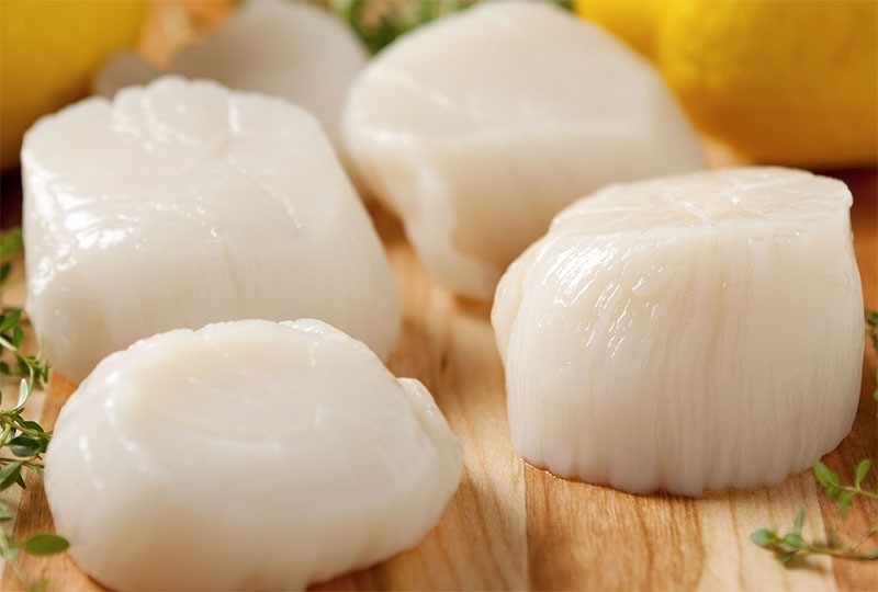 Thịt sò điệp tươi ngon, nguyên liệu chính cho món cháo hải sâm khô sò điệp