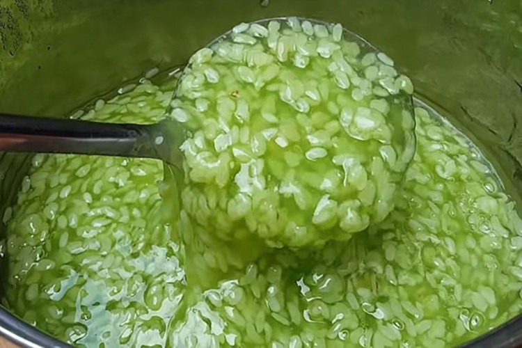 Nấu chè cốm khô với lá dứa tạo hương thơm đặc trưng