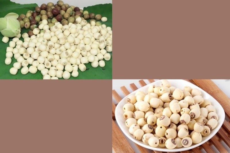Kiểm tra chất lượng hạt sen tươi hoặc khô