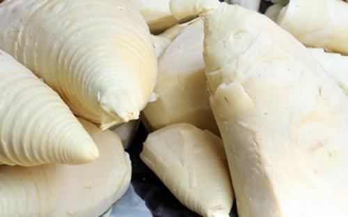 Hướng dẫn chi tiết cách sơ chế măng tươi đúng cách để loại bỏ độc tố và đảm bảo hương vị ngon nhất cho món bún gà măng tươi.