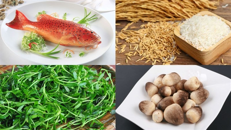Các nguyên liệu tươi ngon để nấu cháo cá mú gồm cá mú, gạo, nấm rơm, rau đắng