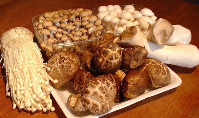 Hướng dẫn chọn mua nấm tươi, ngon