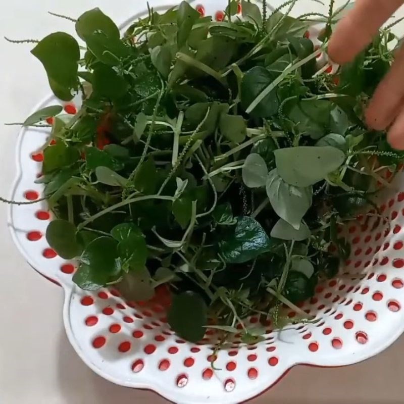 Nhặt và rửa sạch rau càng cua cho món canh thịt bò.
