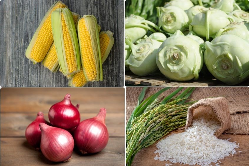 Thành phần rau củ tươi ngon trong món cháo su hào rau củ cho bé