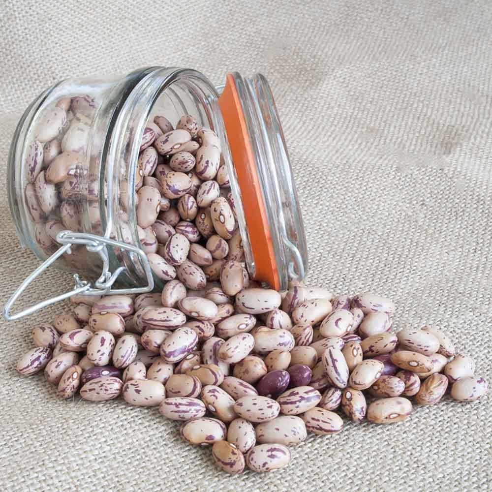 đậu cúc khô chất lượng cao