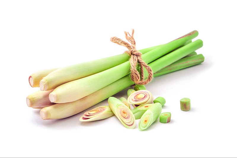 dầu gội thảo dược cô đặc với sả