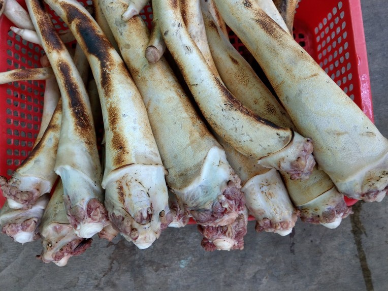 Thui đuôi bò trên bếp giúp loại bỏ lông và khử mùi hôi hiệu quả, bí quyết cho món lẩu đuôi bò ngon