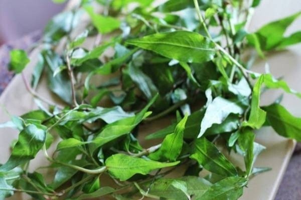 Hành tây đã thái mỏng được ngâm trong tô nước đá, mẹo nhỏ cho món cơm gà Thượng Hải thêm phần hoàn hảo
