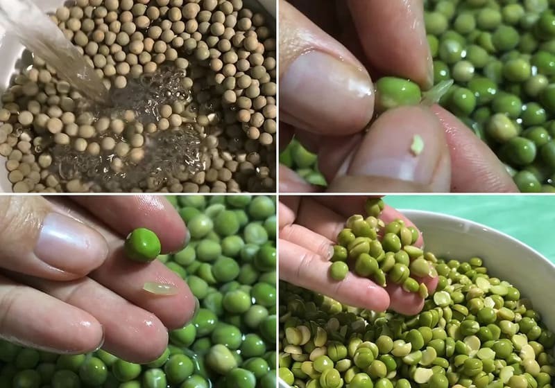 Ngâm và bóc vỏ đậu Hà Lan tươi chuẩn bị làm sữa