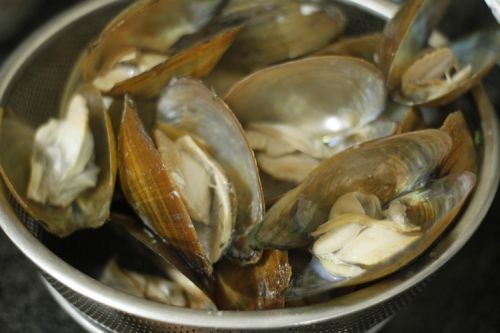Luộc trai sông để nấu cháo thơm ngon