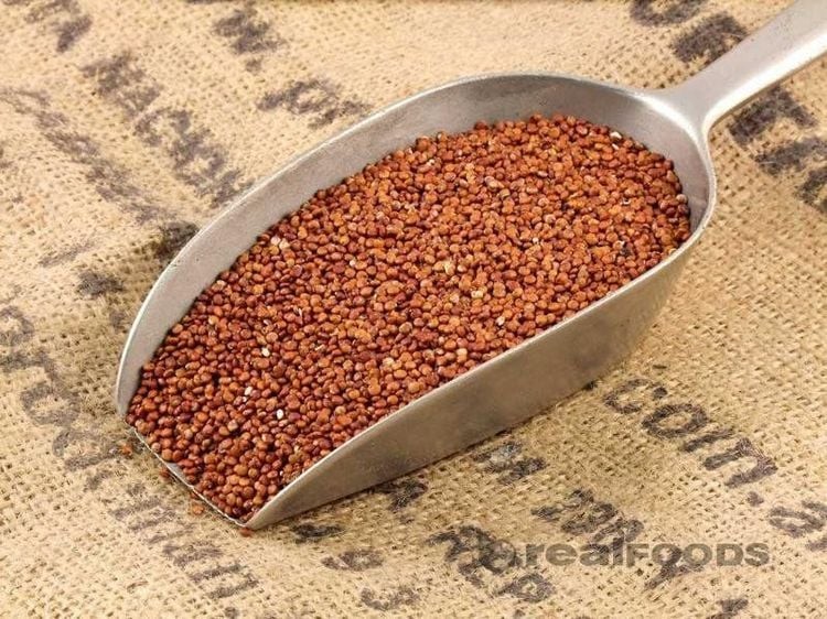 Hãy nhớ rửa sạch hạt Quinoa đỏ trước khi chế biến