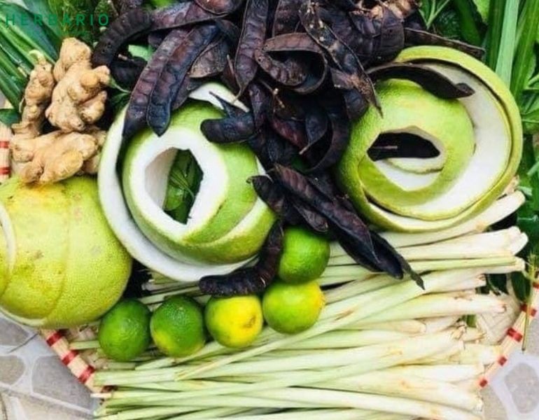 Nên dùng vỏ bưởi tươi hay khô để nấu dầu gội bưởi tại nhà?