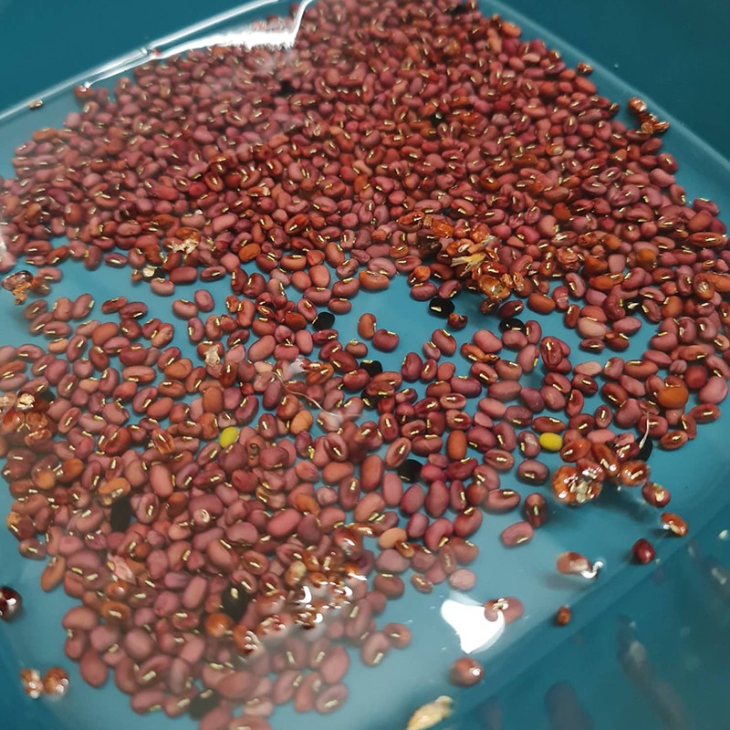 Hình ảnh đậu đỏ đang được ngâm nước trước khi nấu chè bằng nồi cơm điện