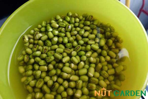 Đậu xanh đã ngâm nước, nở mềm sẵn sàng cho cách nấu chè với táo đỏ