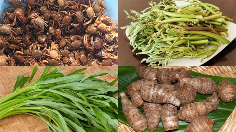 Nguyên liệu tươi ngon cho món canh khoai sọ rau rút nấu cua đồng