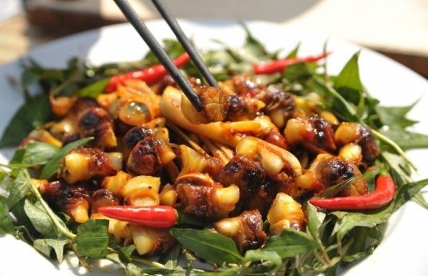 Đĩa ốc giác xào sả ớt nước cốt dừa thơm lừng, hấp dẫn