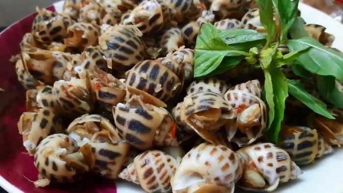 Đĩa ốc hương xào sả ớt nóng hổi, hấp dẫn
